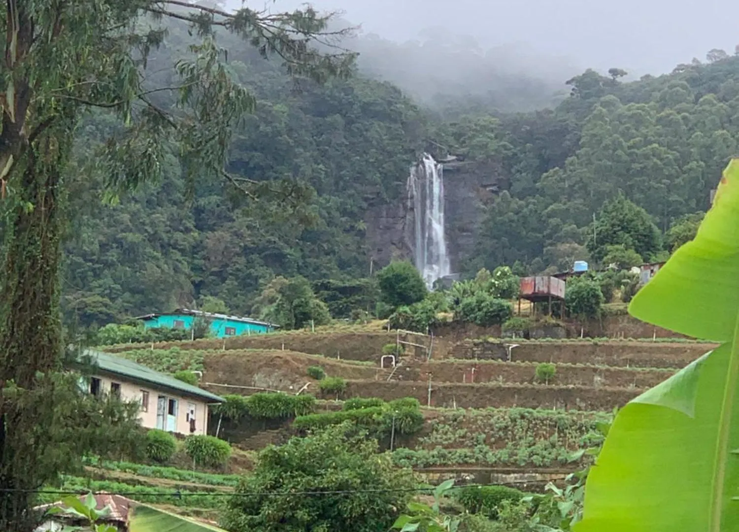 Nuwara Eliya 2020 Wooden Cabin